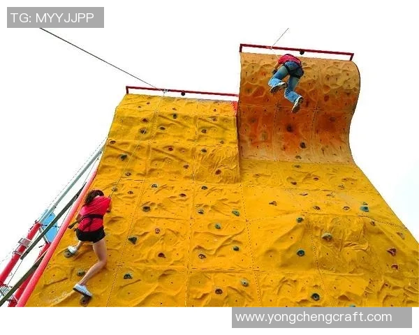 武汉攀岩队的快攻策略与深度解析攀岩运动的魅力与挑战