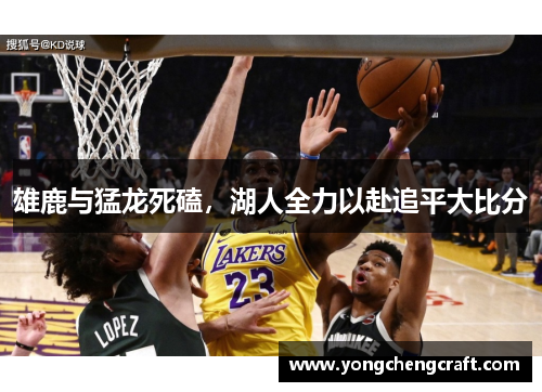 雄鹿与猛龙死磕，湖人全力以赴追平大比分