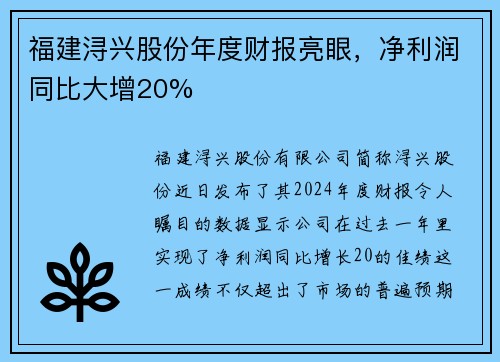 福建浔兴股份年度财报亮眼，净利润同比大增20%